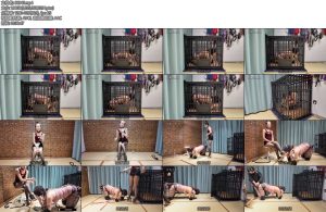 [美曦原创] 真女与伪娘囚禁锁娘3全身缚犬缚连体口球吊头100多米的绳子绑上在狗笼里被囚禁40多分钟一镜到底终于俩位女主打开门以为就此结束的敏儿谁知道还要继续羞辱-丝依依