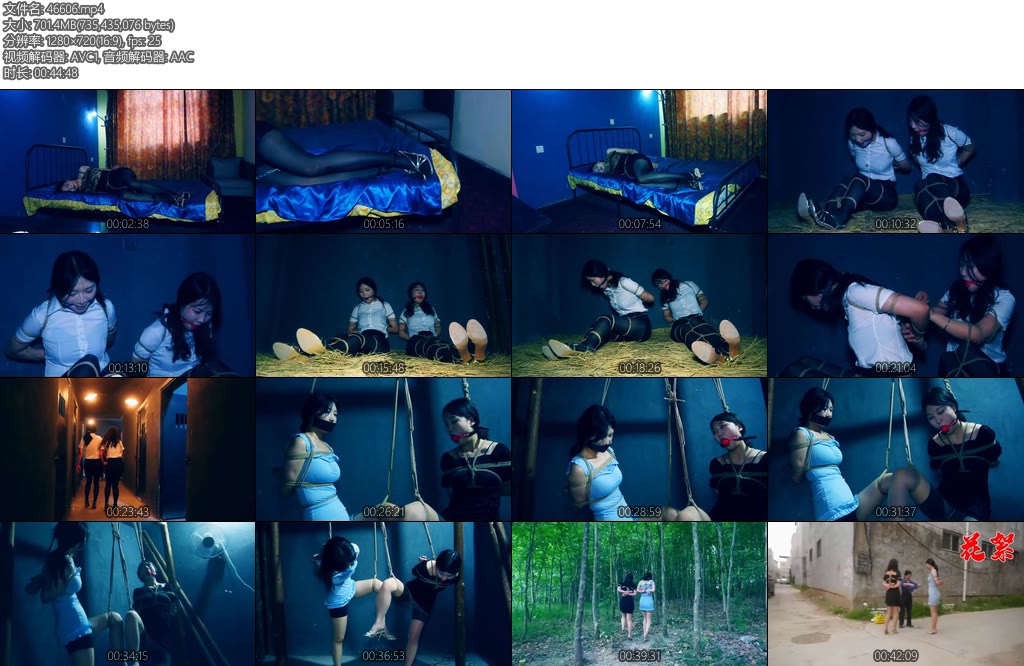 [胜景影视] 双花卧底第二集两美女秘书在押往总部时候路上逃跑可惜又被抓回来-丝依依