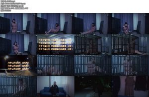 [朱雀雀] SY幻境剧情向-丝依依