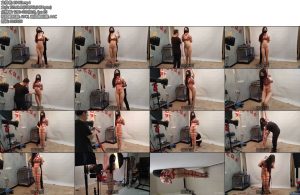 [束缘阁] 杨蕊豹纹内衣五花紧傅股绳-丝依依