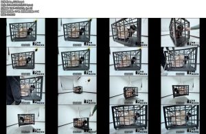 [冥想原创] 完美复刻house of gord兔笼第五期强制固定升天旋转小M口水直流下来后头晕目眩完全透支-丝依依