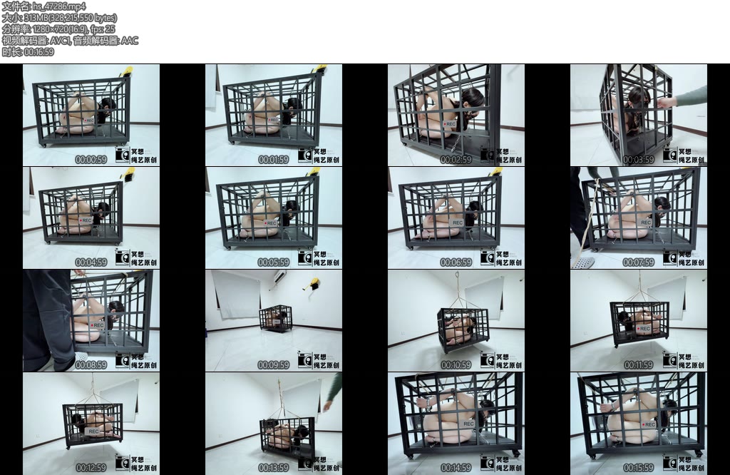 [冥想原创] 完美复刻house of gord兔笼第五期强制固定升天旋转小M口水直流下来后头晕目眩完全透支-丝依依