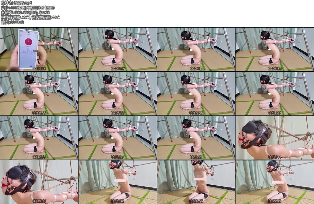 [长颜草] 梦婷电击限位惩罚极限并肘直臂90度反吊罚跪感官封闭果体-丝依依