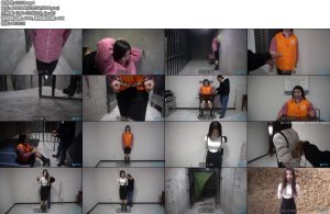 [MJ影视] 二十岁的花季少女-丝依依