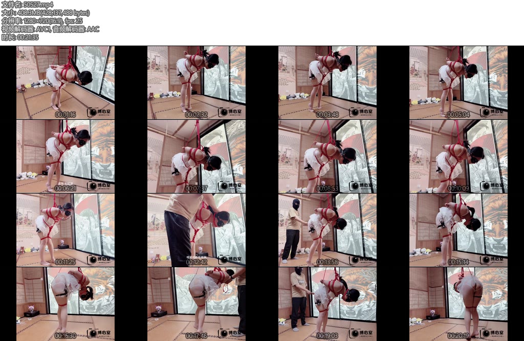 [缚心室] 高考加油没什么绝活给大家表演一个背诵岳阳楼记吧头悬梁锥刺脚背错了要挨揍脚还不敢沾地-丝依依