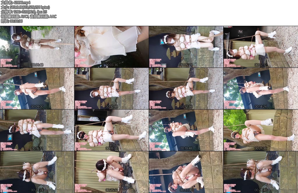 [绳缚原创] 日本工作室 在逃公主捕回羞耻户外绳缚日本原创-丝依依