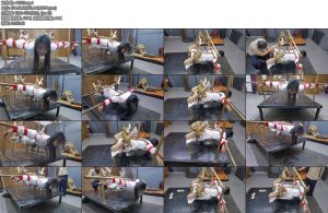 [飞天原创] 把李然禁锢在拘束架上打睹论输赢她能获胜吗-丝依依