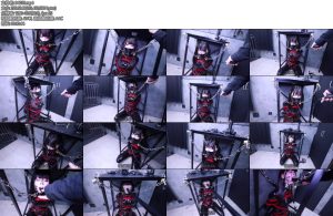 [D-Lemon] ラテックス緊縛固定-丝依依