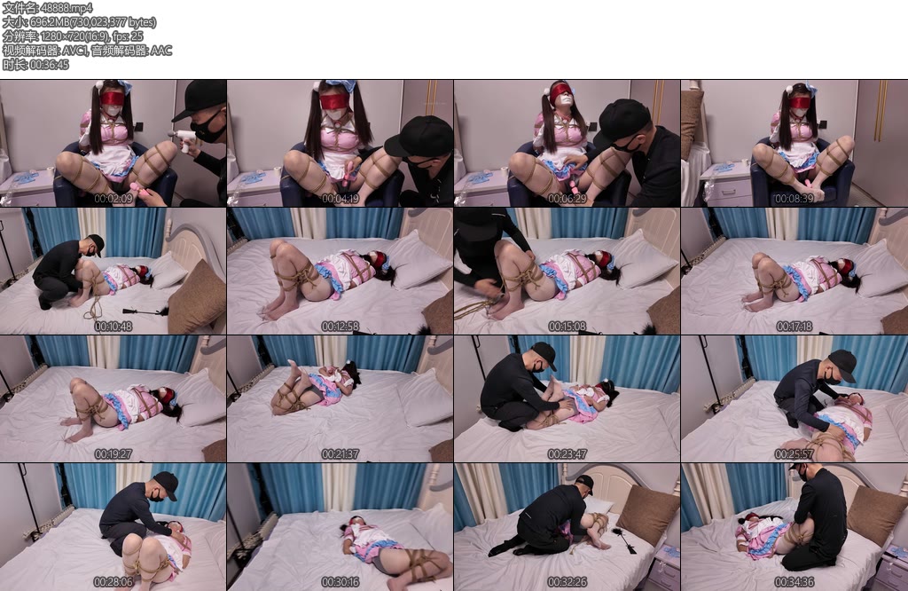 [李大侠] 家政服务之女仆下-丝依依