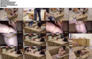 [半岛束艺] 被玩坏的纸箱~奎因-丝依依