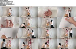 [尤美加奈] 大尺度定拍第三集无内白丝连体衣木马两难袭击蝴蝶缚棒棒强高小粉td玩弄酥胸-丝依依