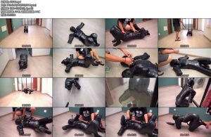 [闪闪原创] 闪闪工作室 绝缘胶带木乃伊人形犬在宽阔的新场地大型遛狗-丝依依