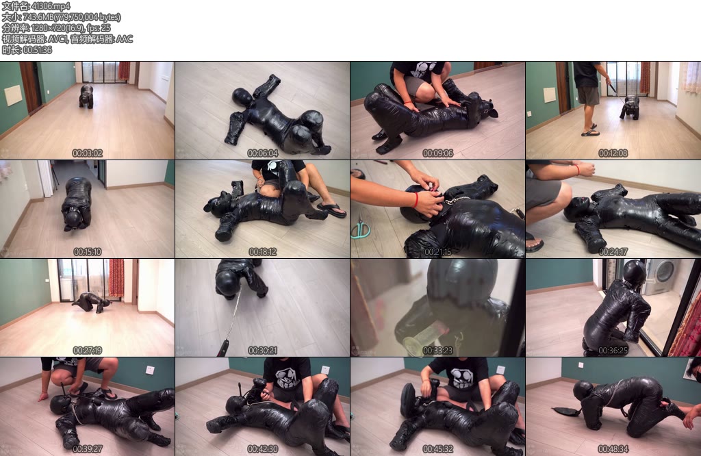 [闪闪原创] 闪闪工作室 绝缘胶带木乃伊人形犬在宽阔的新场地大型遛狗-丝依依