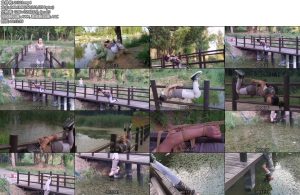 [飞天原创] 云儿偷偷,去小树林约会，被主人发现,不客气地惩罚各种吊绑，喝河里的臭水,惊险刺激-丝依依