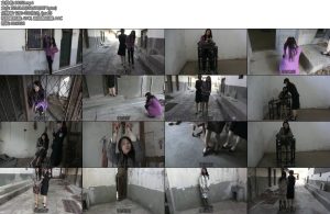 [梨花雨] 朱颜辞镜花辞树嚣张毒贩的末日-丝依依