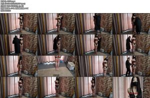 [随心原创] 杨蕊柱子上的美娇娘-丝依依