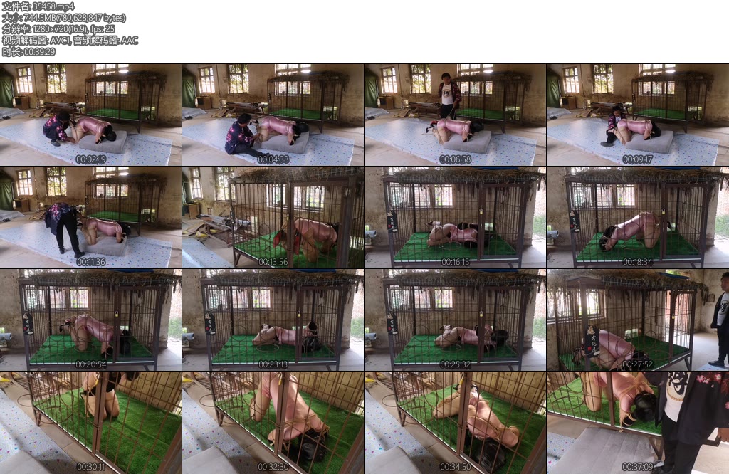 [逸客绳屋] CD粉裙K9囚禁-丝依依