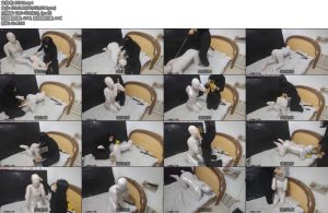 [亚洲绳艺] 雪白可爱的人形犬全包木乃伊多层木乃伊双层zentai保鲜膜封闭丝袜头套呼吸训练的视觉盛宴-丝依依