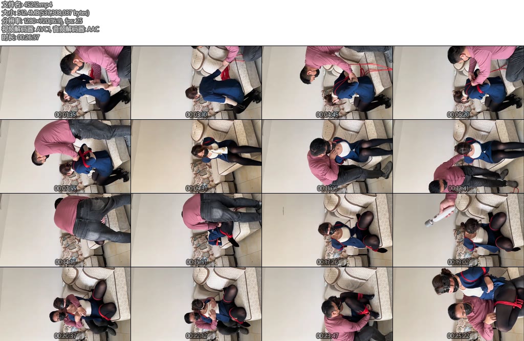 [束龙缚凤] 可怕的黑航空公司上集-丝依依