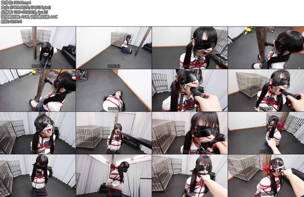 [D-Lemon] 制服緊縛磔固定complete plan-丝依依