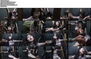 [雅俗阁] 刑讯洋洋-丝依依