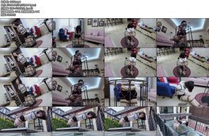 [半岛束艺] 昭月静待金丝雀-丝依依