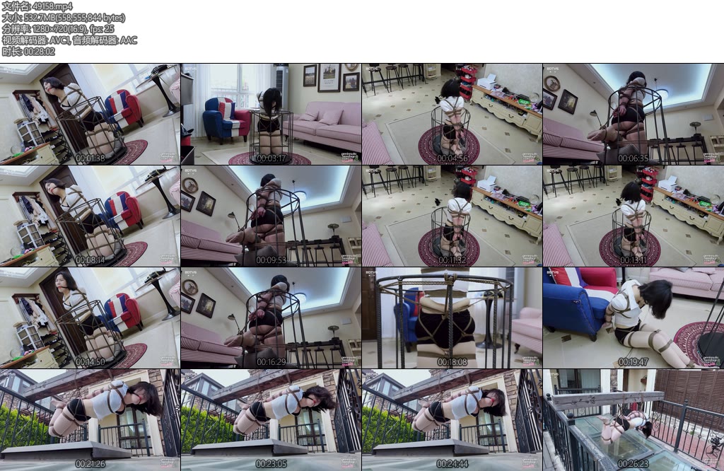 [半岛束艺] 昭月静待金丝雀-丝依依