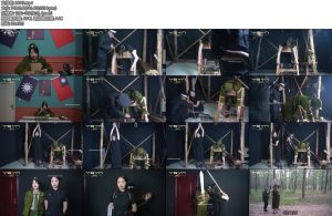 [一绳有你] 致命密件由于叛徒的出卖军统女秘书文雅陈处长秋雅被捕入狱受刑不屈小树林枪决-丝依依