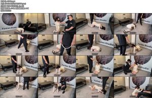 [雨辰原创] 我的母狗女友肉丝皮靴齐逼裙耳光钻胯踩脸打屁股游戏羞辱管教惩罚-丝依依