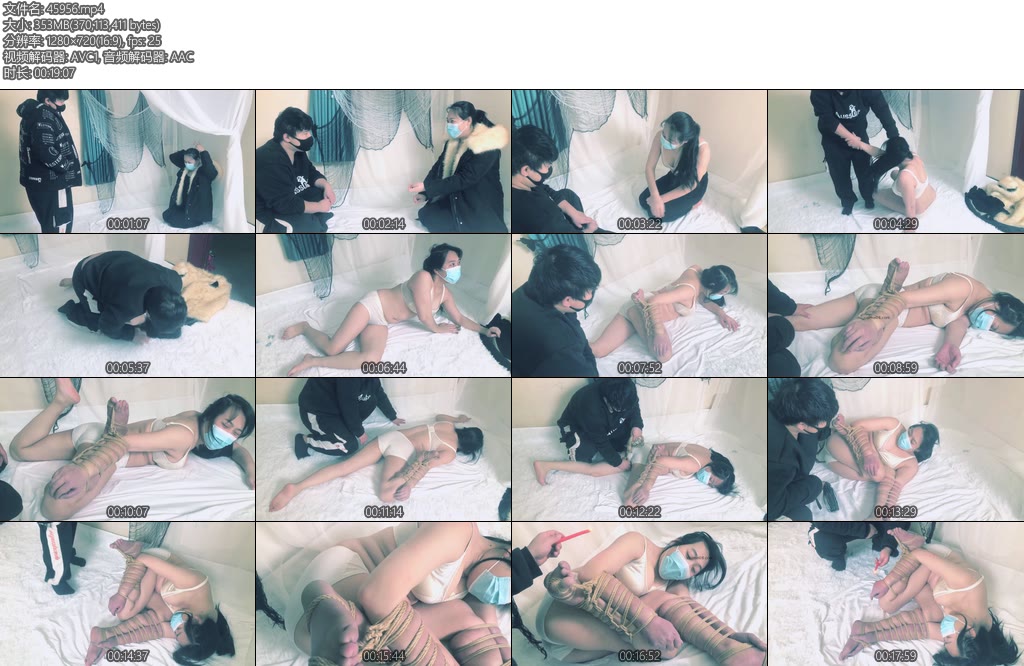 [朱雀雀] 奇异的驷马-丝依依