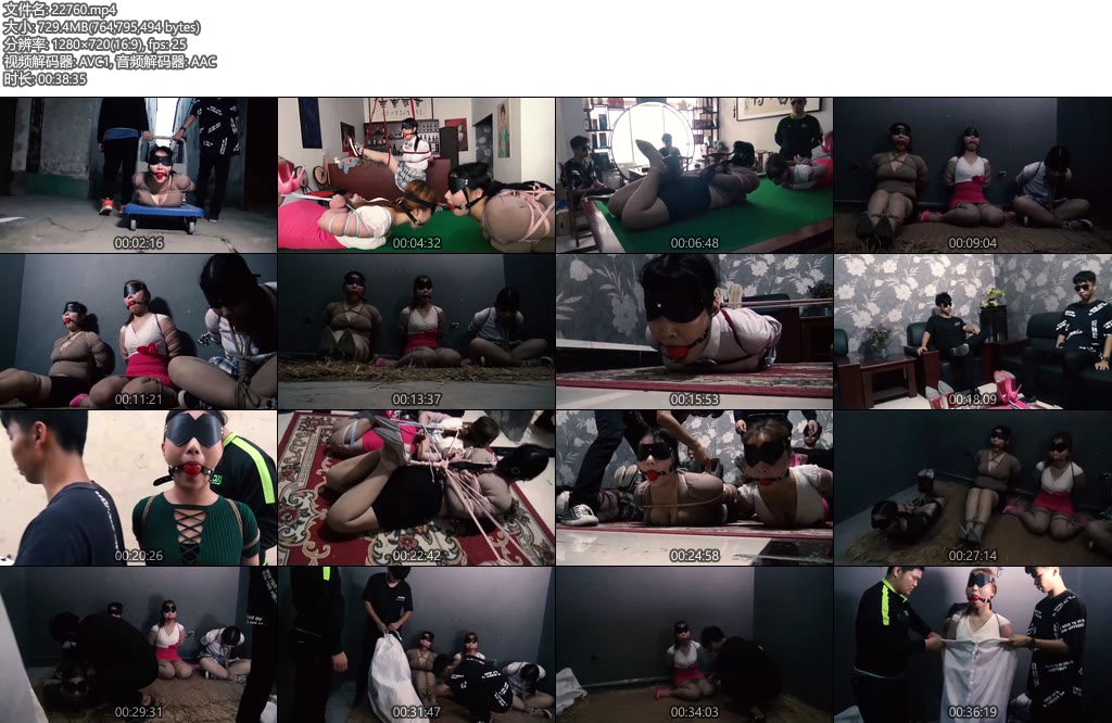 [胜景影视] 连续剧落难姐妹（第八集）-丝依依