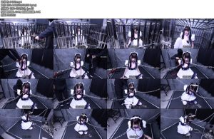 [D-Lemon] 10分メイド監禁顔責め調教complete plan-丝依依