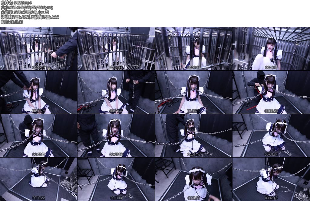 [D-Lemon] 10分メイド監禁顔責め調教complete plan-丝依依