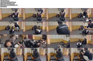 [悦感日记] 小美K9夏天驷马强制爬行SP强制囗交训练内容丰富精彩-丝依依