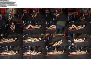 [随心原创] 江奈蜷缩笼子与木板固定-丝依依