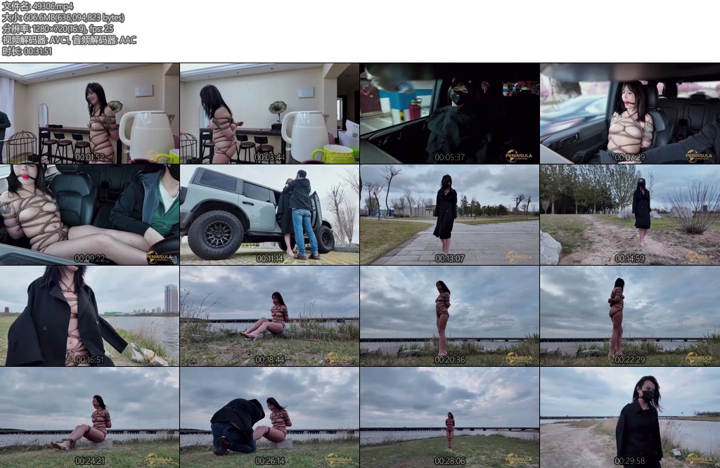 [半岛束艺] 波雅又到了除了绳子什么都没有的季节-丝依依