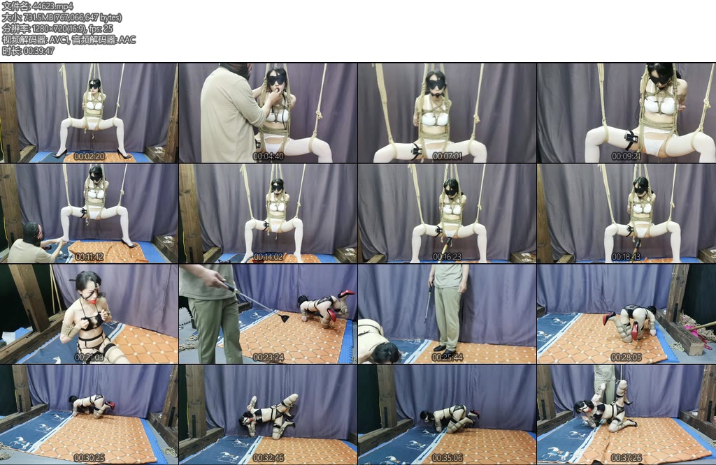 [飞天原创] 艺仙儿奴性升级吊缚y具口球电击gc喷射犬缚爬行完任务因完不任务成,在小黑屋被禁锢一晚上看你老实不老实-丝依依