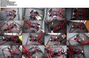 [D-Lemon] キューブ磔拘束快楽責めcompleteplan-丝依依