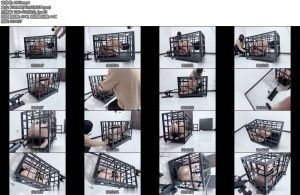 [冥想原创] 梦梦完美复刻house of gord兔笼第六期大胸小美女黑丝用完换肉丝多种玩法炮机郊狼都安排一边体验一边交流感受最后一分钟控制GC的任务-丝依依