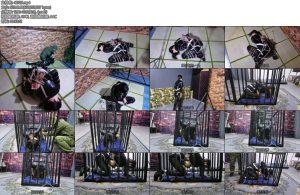 [飞天原创] 希希搜查官接到命令只身一人去搜查暴徒老巢,被早已有防备的暴徒反杀被全身绑了起来费了九牛二虎之力脱逃-丝依依