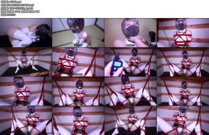 [D-Lemon] Durianハイレグ緊縛電流電マ責め-丝依依