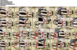 [曹丹爽] 人字拖脚铐和趾铐-丝依依