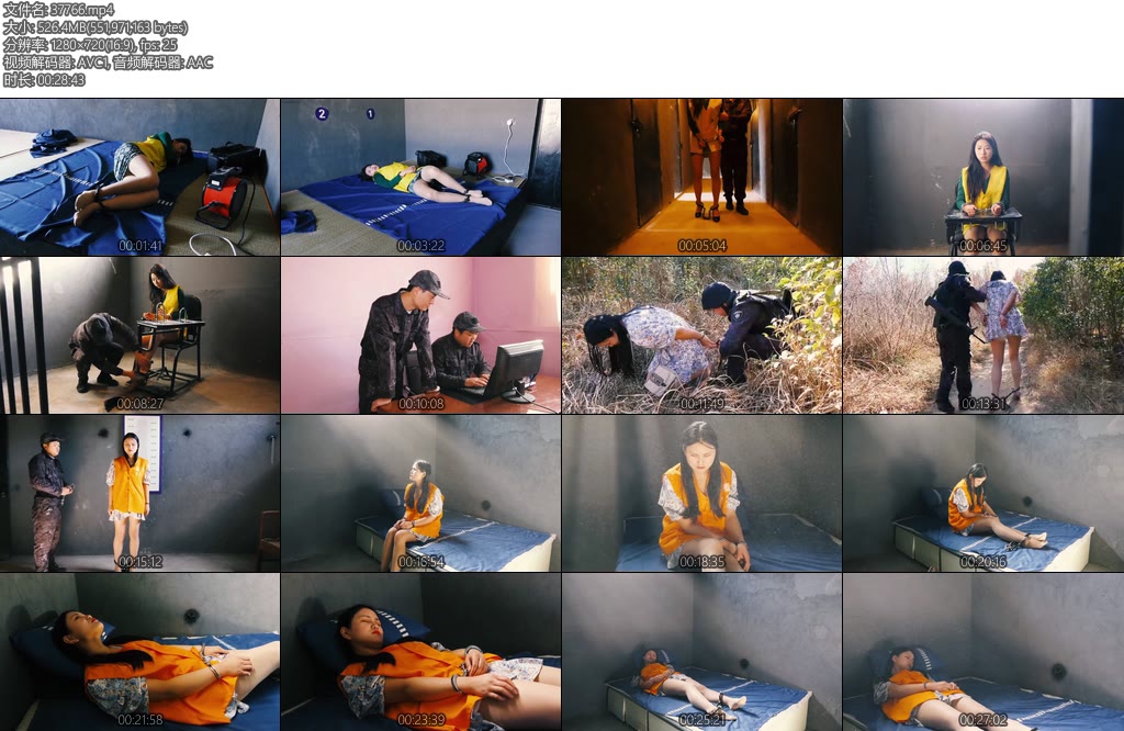 [胜景影视] 李玲的最后时光（第二集）-丝依依