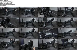 [鹿角与猫爪] 全包乳胶衣头套芭蕾鞋拘束架跪姿脖子固定刚勾铁链连接头部马具开口环全自动机械深喉-丝依依