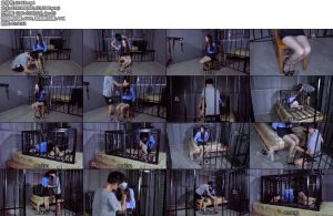 [樱束原创] 反跟踪的陷阱（上下合并版）-丝依依