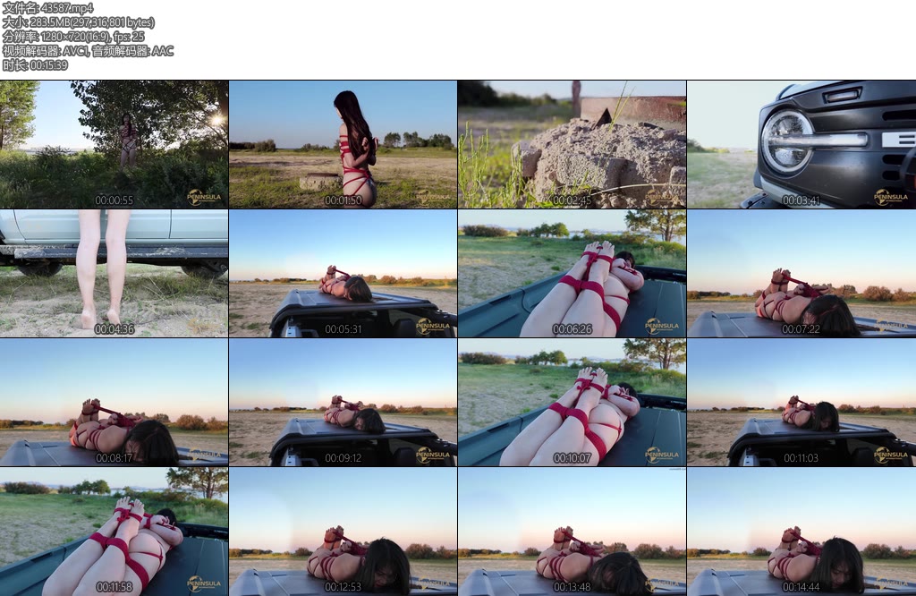 [半岛束艺] 缇娜不要碰我的车-丝依依