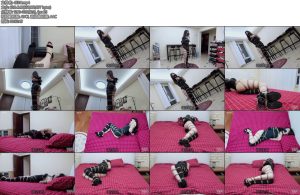 [半岛束艺] 泽爱半岛纸盒-丝依依