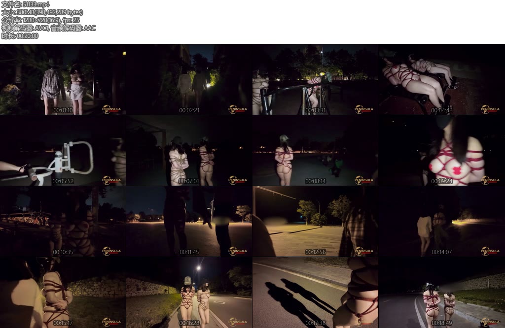 [半岛束艺] 午夜缚影上-丝依依