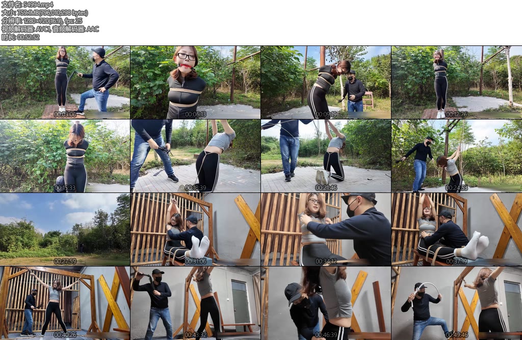 [李大侠] 绑架之晓琴一-丝依依