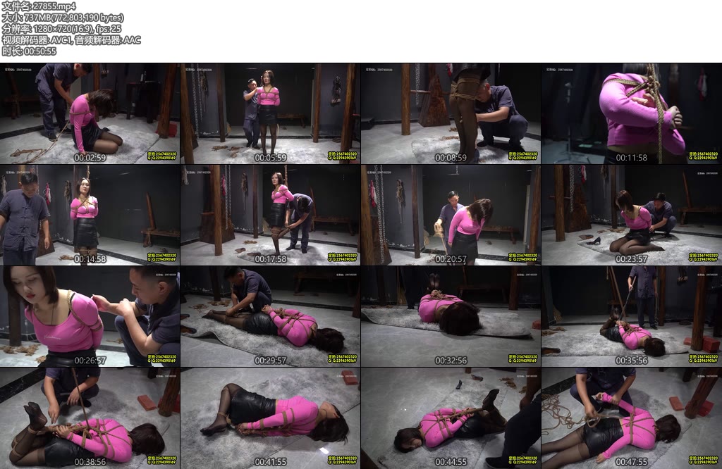 [MJ影视] 深入虎穴-丝依依